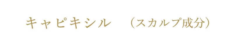 キャプキシル（スカルプ成分）