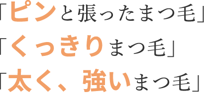 「ピンと張ったまつ毛」「くっきりまつ毛」「太く、強いまつ毛」