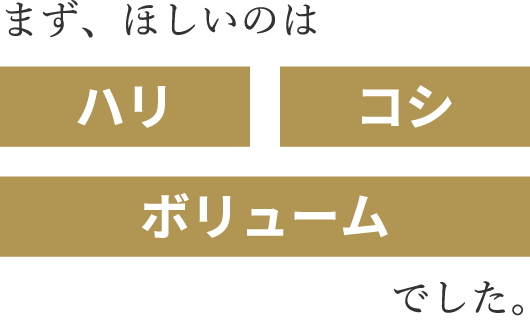 まず、ほしいのは「ハリ」「コシ」「ボリューム」でした。